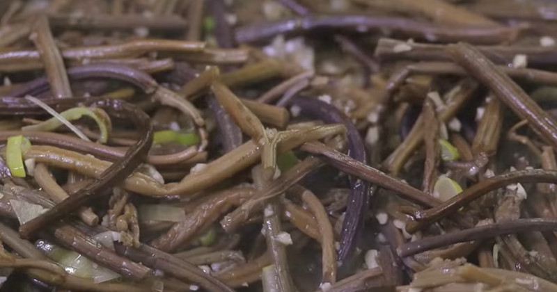 유튜브 '최주부 Choi JuBu'