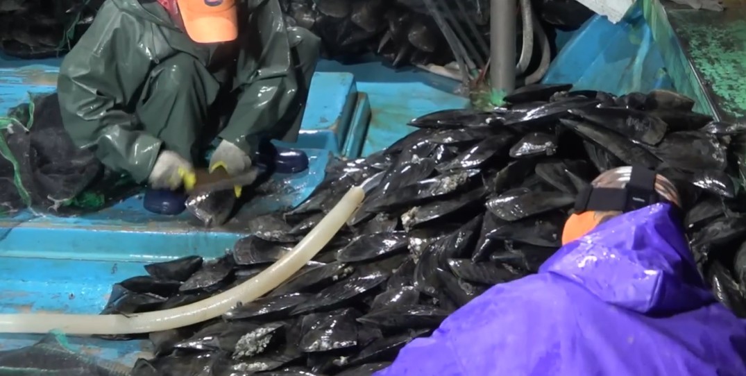 유튜브 'EBSDocumentary (EBS 다큐)'