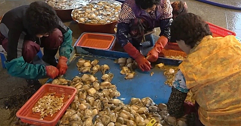 유튜브 'EBSDocumentary (EBS 다큐)'