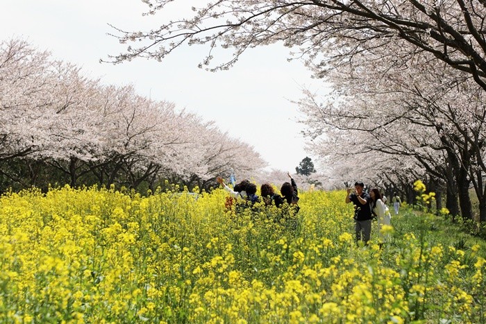 기사의 이해를 돕기 위한 사진 / 뉴스1