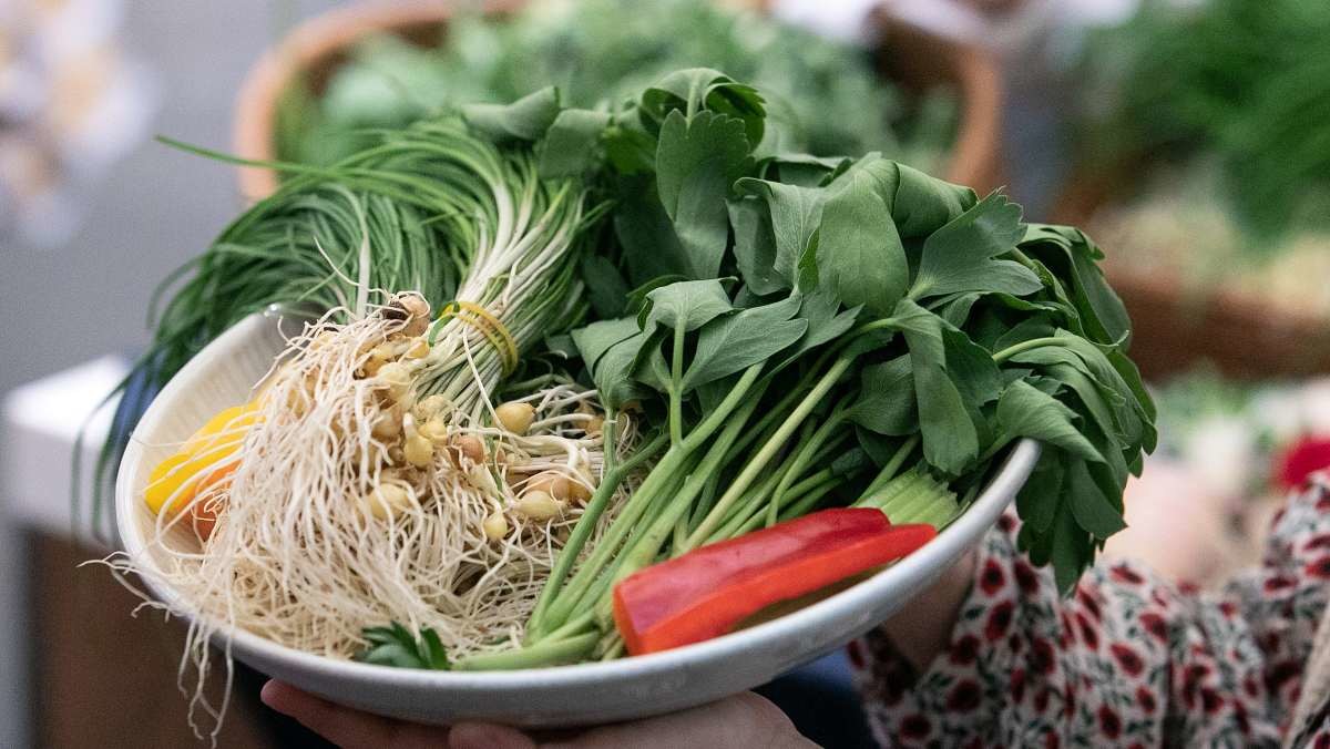 방풍나물, 달래, 참나물 등. / 뉴스1