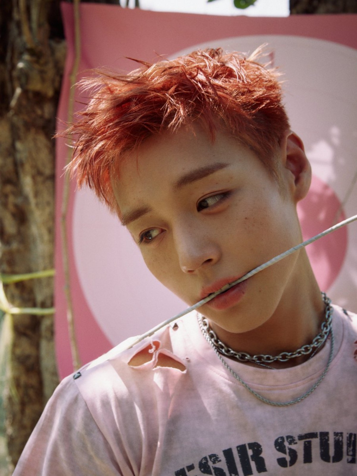 박지훈 / YY엔터테인먼트