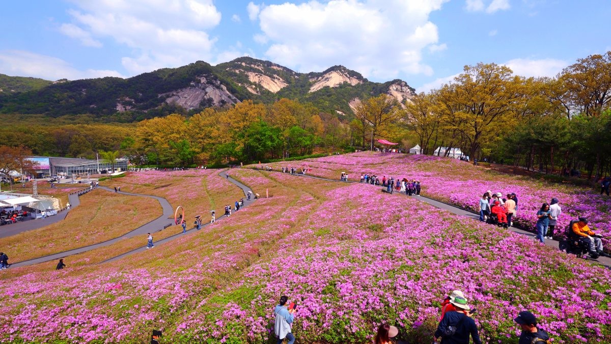 불암산 힐링타운. / 뉴스1
