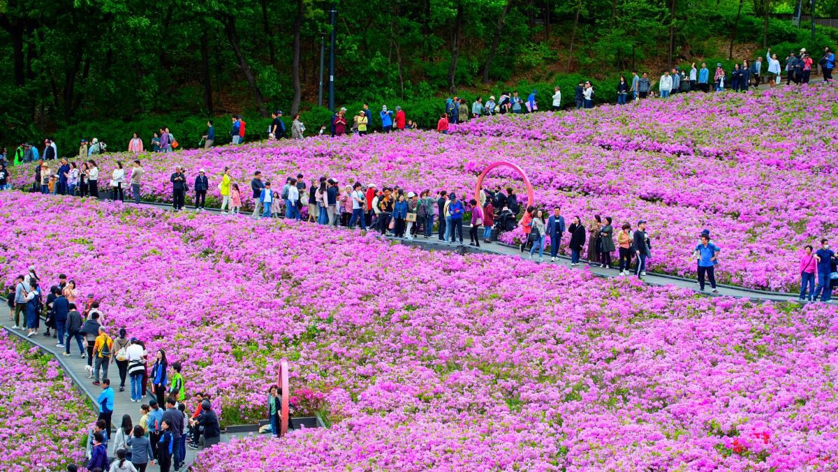 불암산 힐링타운. / 뉴스1