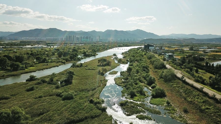 대구 동구가 4월부터 9월까지 ‘2026년 안심습지 생태 탐방 프로그램’을 운영한다. 사진은 안심습지 전경. / 대구 동구 제공