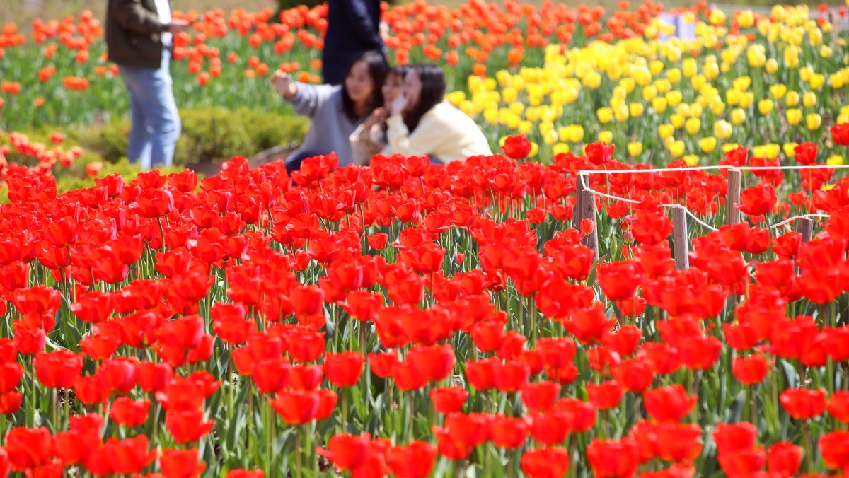 부산 화명생태공원. / 뉴스1