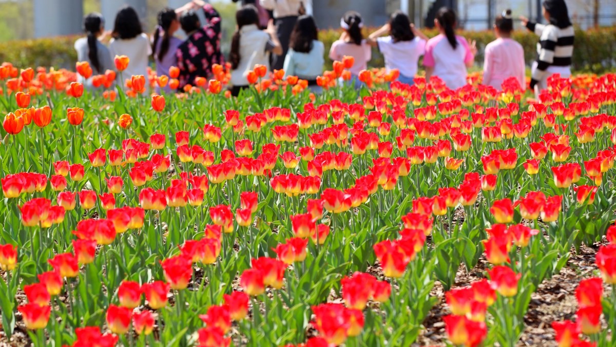 부산 화명생태공원. / 뉴스1