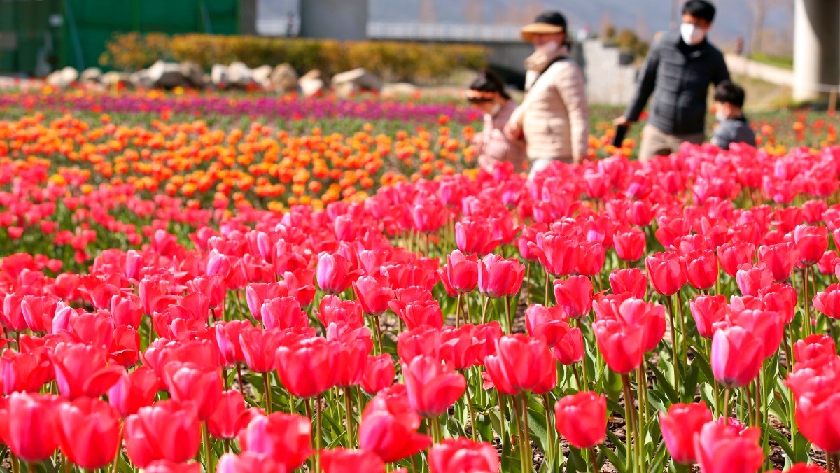 부산 화명생태공원. / 뉴스1