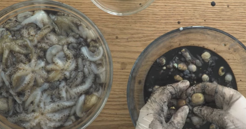 유튜브 '제이키친 JKitcHen'