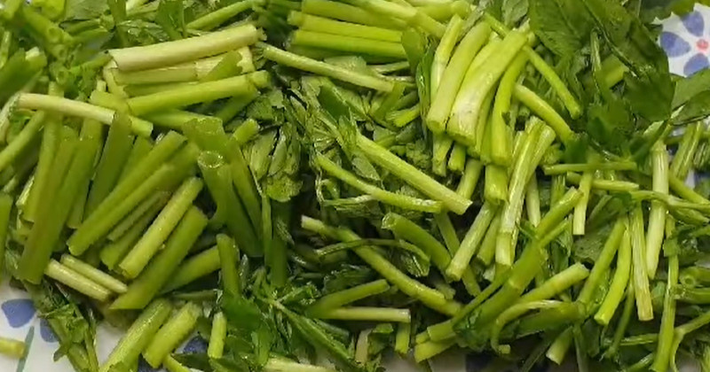 유튜브 '헬시주스 healthy juice'