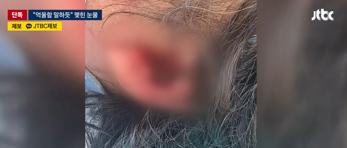 유튜브 'JTBC News'