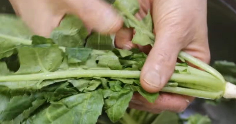 유튜브 '최주부 Choi JuBu'