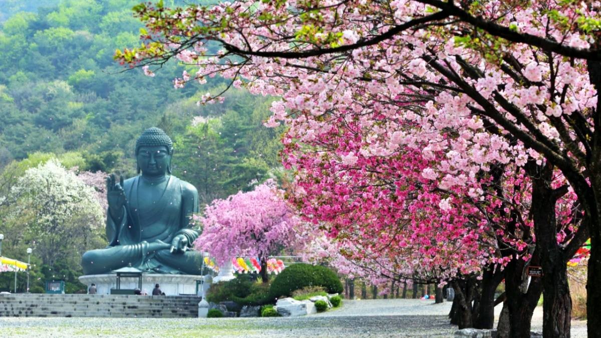 각원사의 봄 / 한국관광공사(촬영 : 진재원)