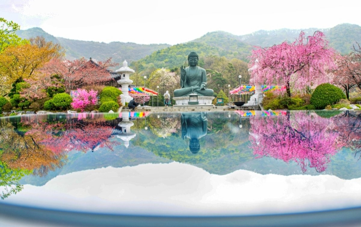 각원사 봄 풍경 / 충청남도-충남관광 홈페이지