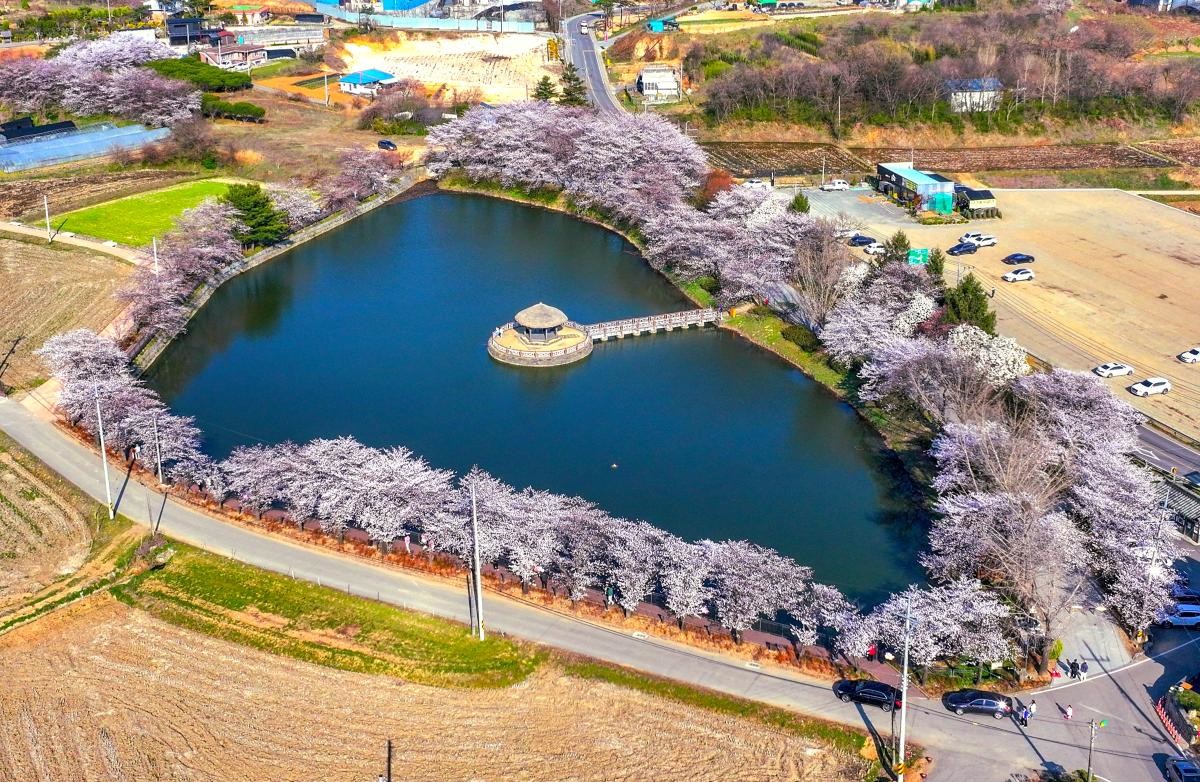 면천면 골정지 전경 / 당진시
