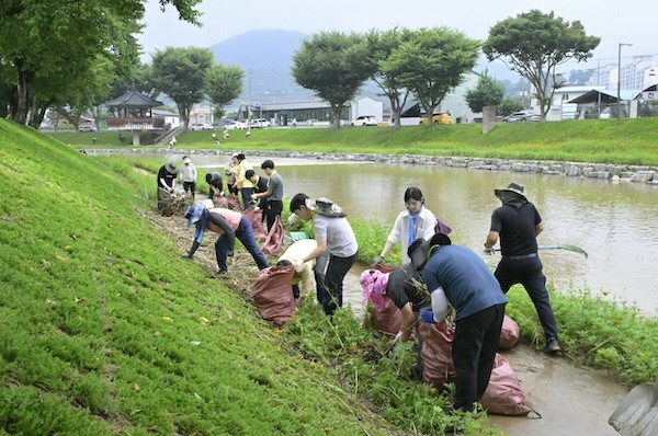 여름철 자연재난 사전대비 종합대책 / 순창군