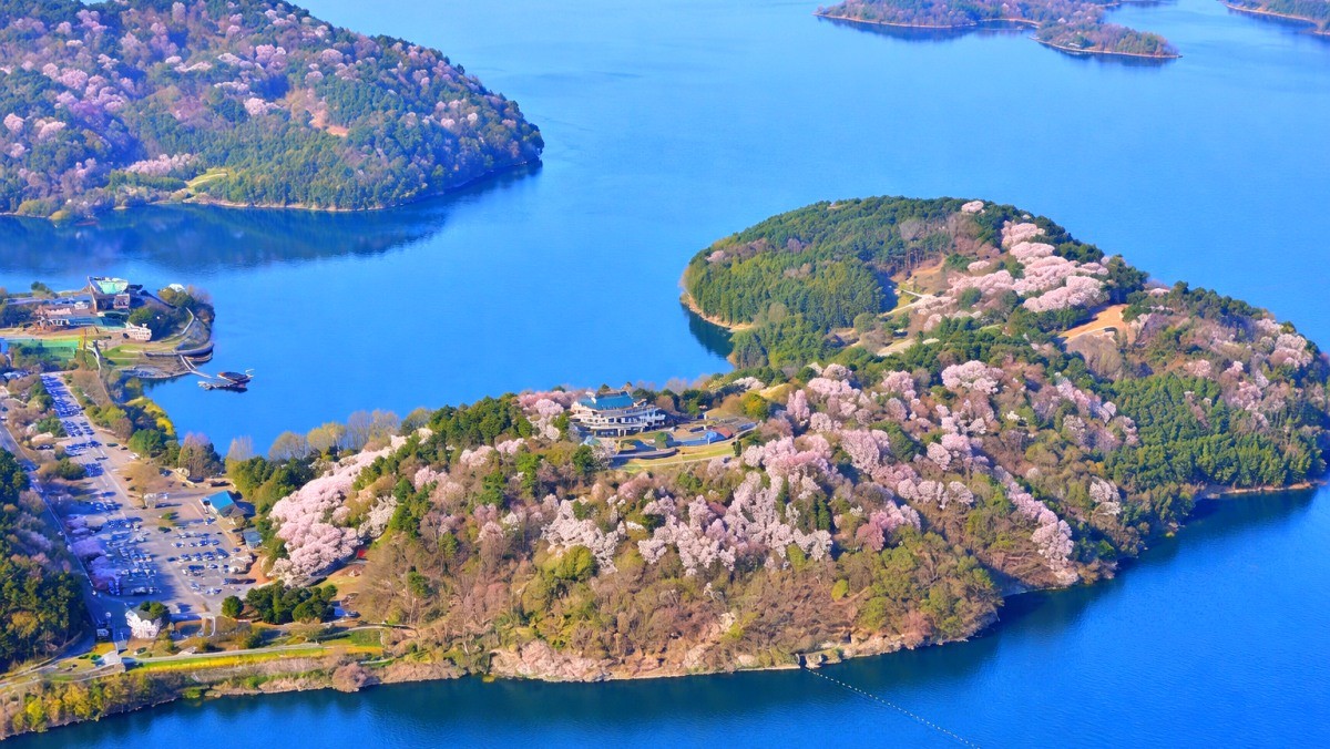 진양호 벚꽃. 기사 내용 토대로 AI툴 활용해 제작한 자료사진.