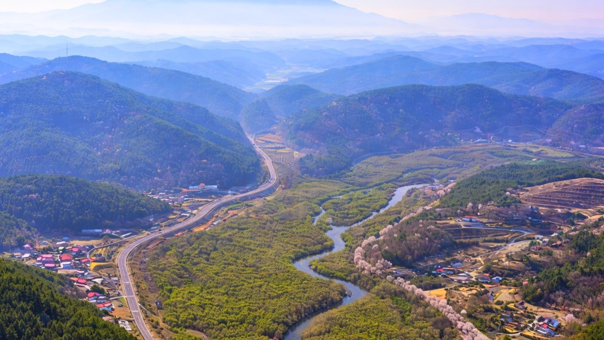 진양호 벚꽃. 기사 내용 토대로 AI툴 활용해 제작한 자료사진.