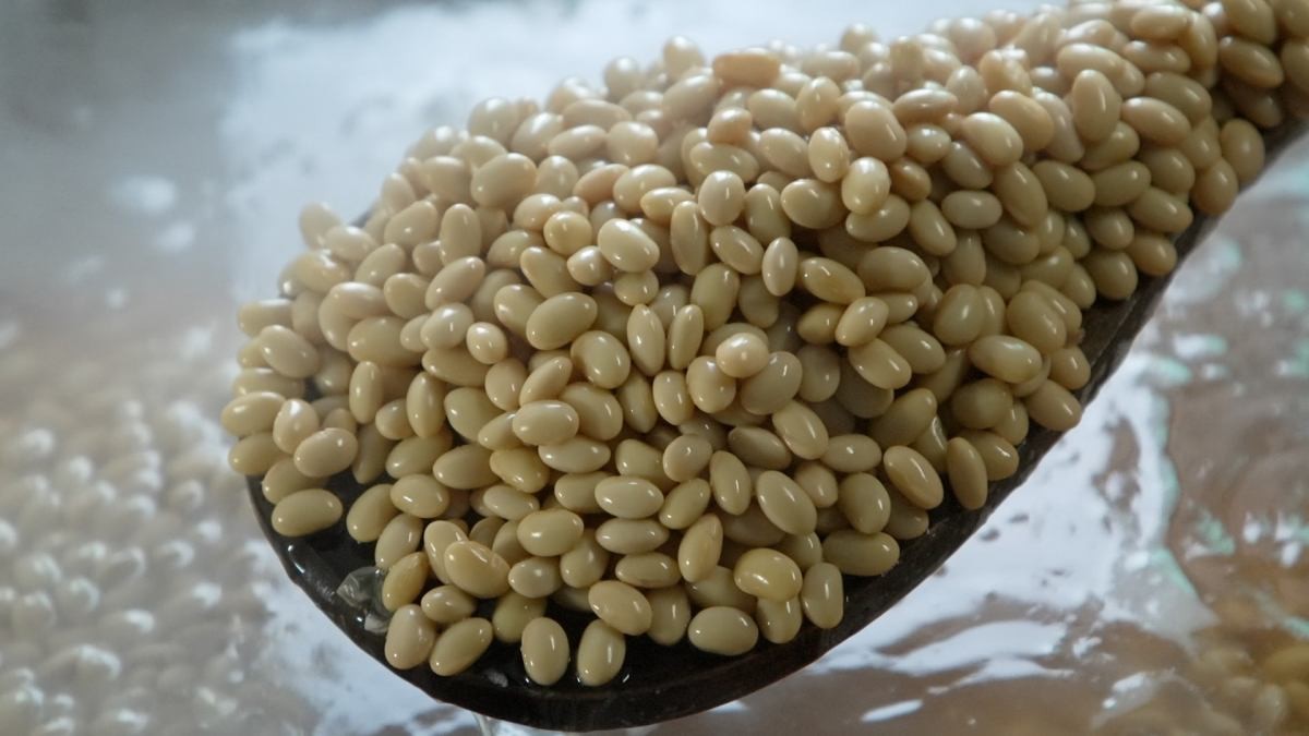 EBS1 '한국기행' 미리보기 페이지에서 제공하는 '엄마의 장독대' 편 자료 사진. / EBS1 제공