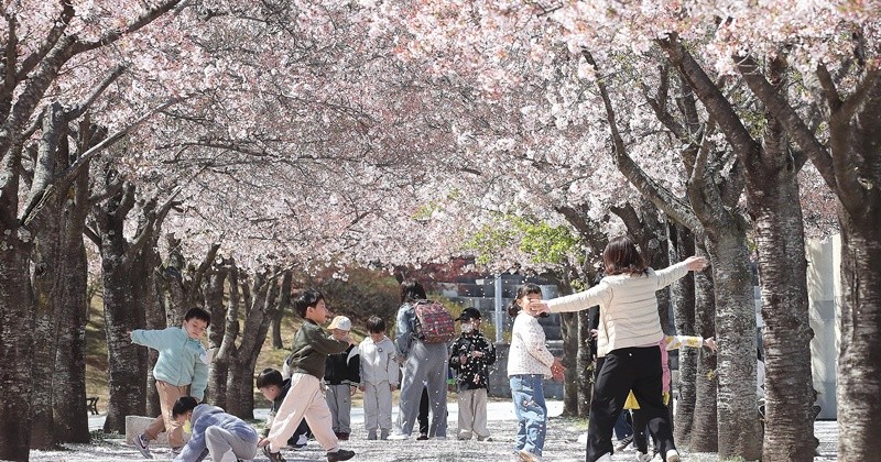 기사의 이해를 돕기 위한 AI 생성 이미지