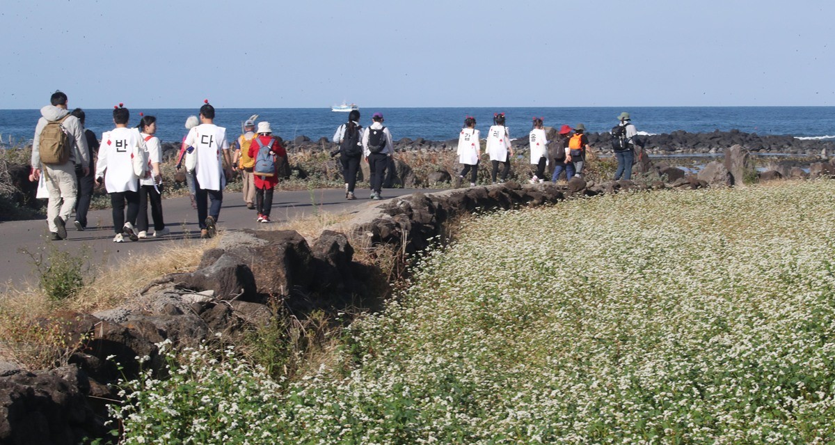 관광객들이 제주올레 11코스 서귀포시 하모리 해안가를 걷고 있다. / 뉴스1
