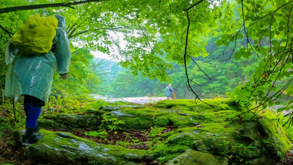 아침가리계곡 트레킹   / 연합뉴스