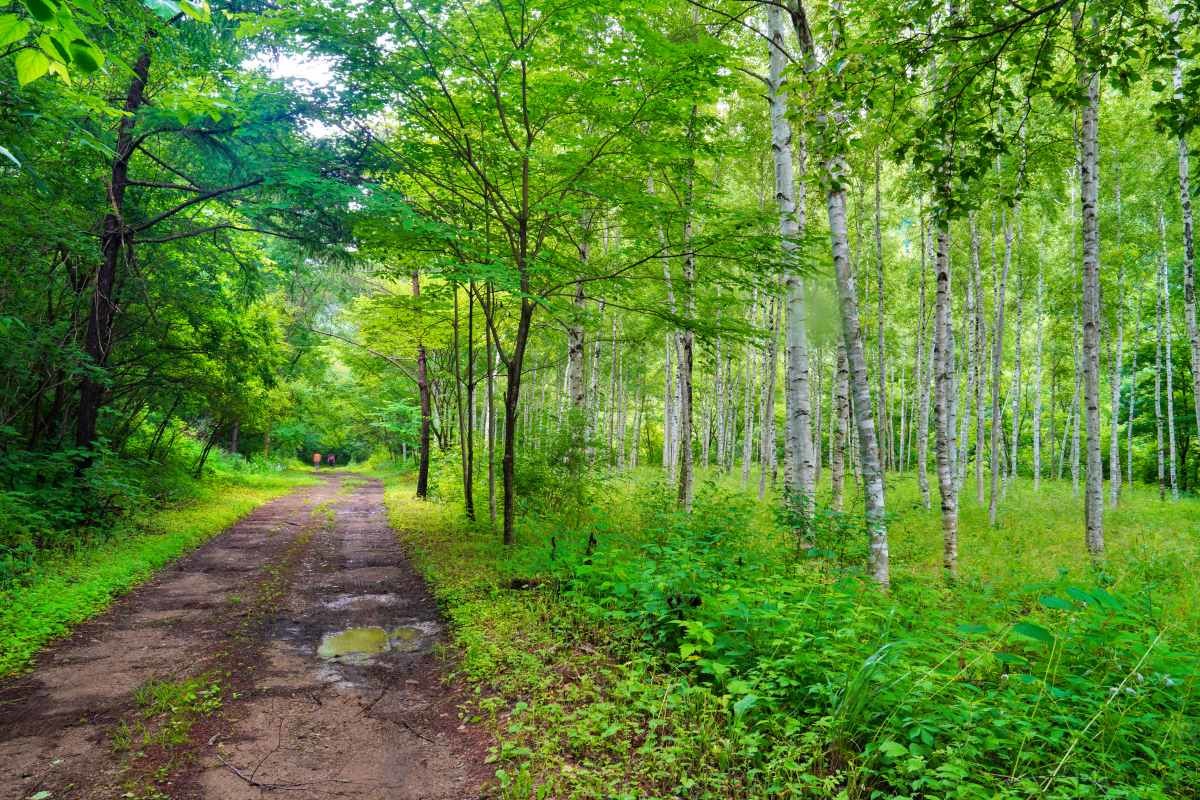 아침가리계곡 상류   / 연합뉴스