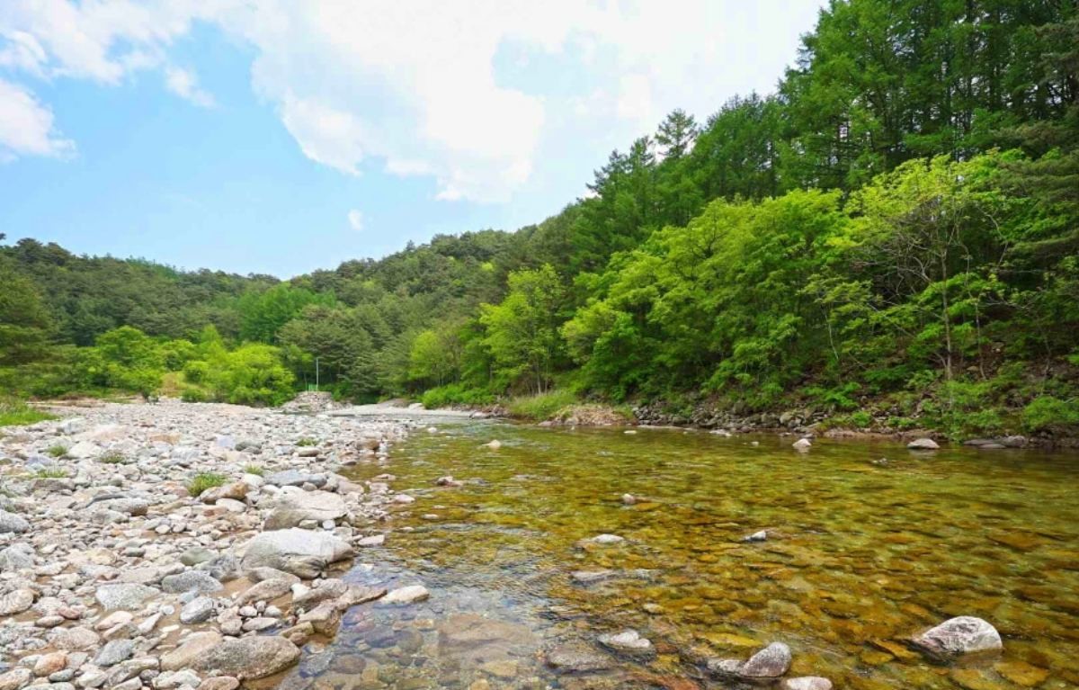 아침가리계곡 / ⓒ한국관광콘텐츠랩-인제군
