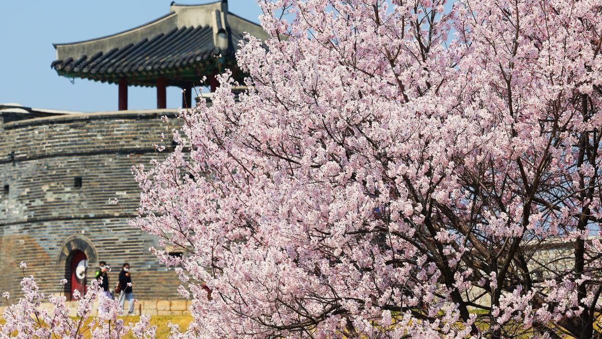 수원화성. / 연합뉴스