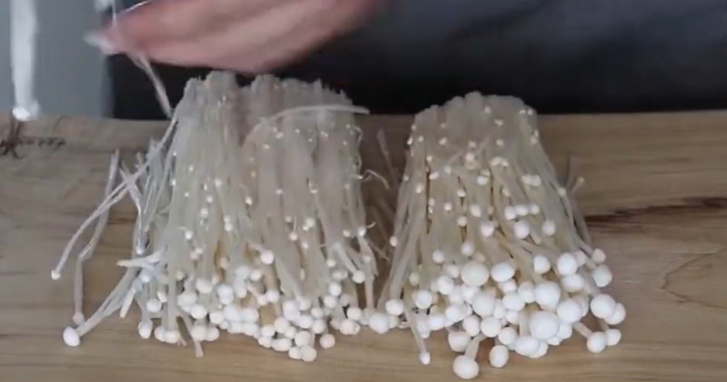 유튜브 'cui꿈꾸는유튜브'