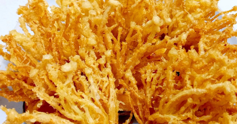 유튜브 'cui꿈꾸는유튜브'