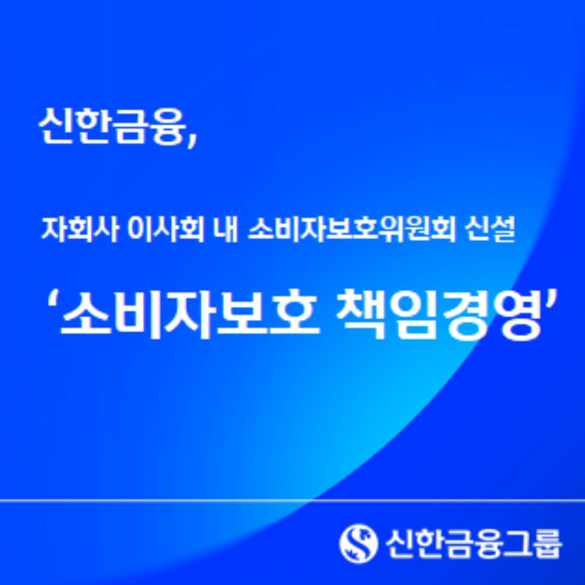 신한금융, 그룹 소비자보호 경영전략 및 자회사 관리계획 수립 / 신한금융 제공