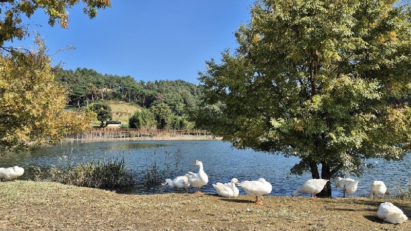 8일 대전·세종·충남 지역은 대체로 맑다가 밤부터 차차 흐려질 전망이다./사진=김지연 기자