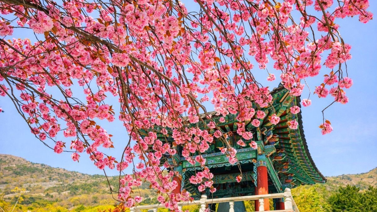 사천 청룡사. / 사천시 공식 블로그, AI