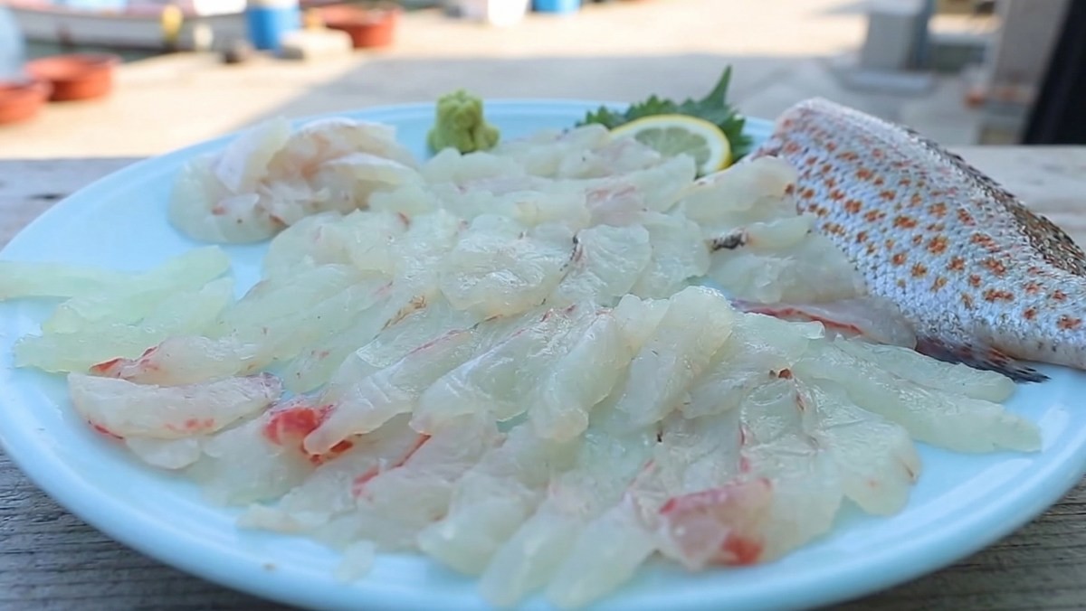 붉바리 회 자료사진 (기사 이해를 돕기 위해 AI로 생성된 이미지)