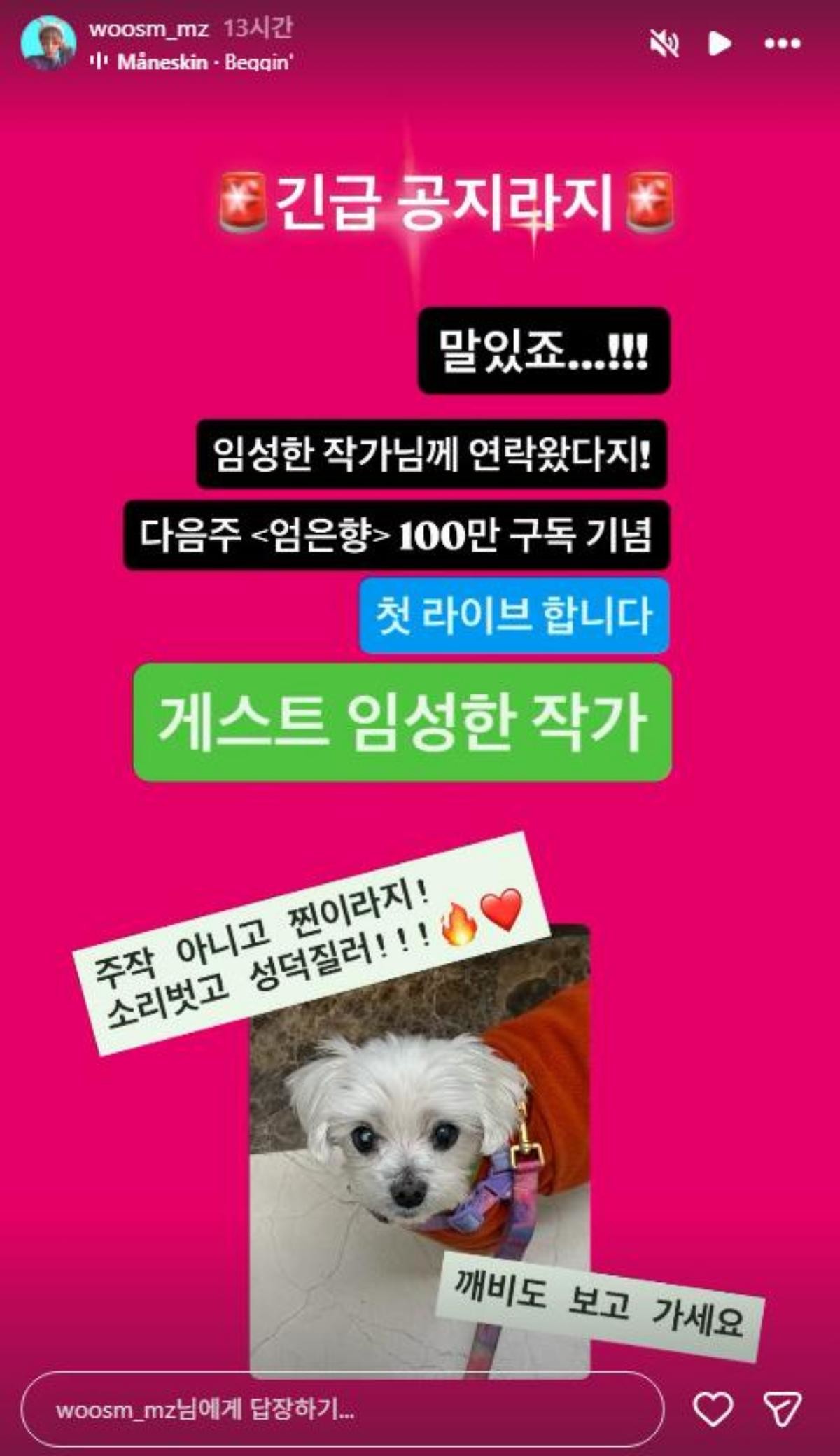 임성한 작가와의 만남 예고한 엄은향. / 엄은향 인스타그램 스토리