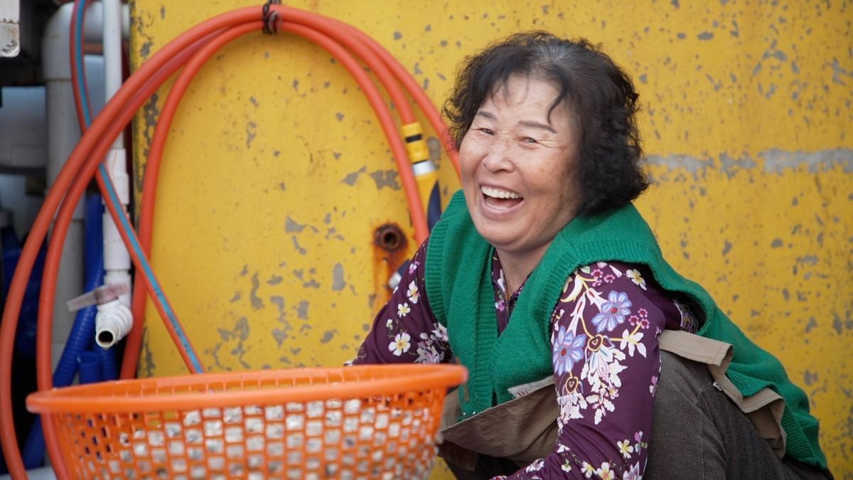 EBS1 '한국기행' 미리보기 페이지에서 제공하는 851편 '울 엄마를 소개합니다' 썸네일 사진. / EBS1 제공