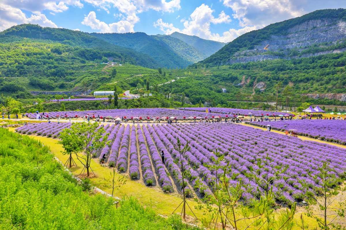 무릉별유천지 / 강원특별자치도 동해시-공공누리