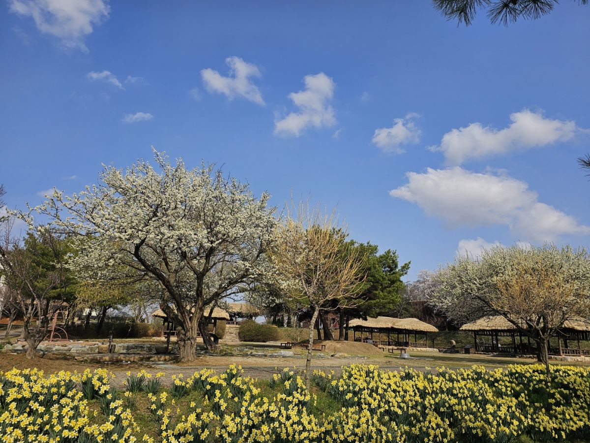 합덕제 전경 / 당진시