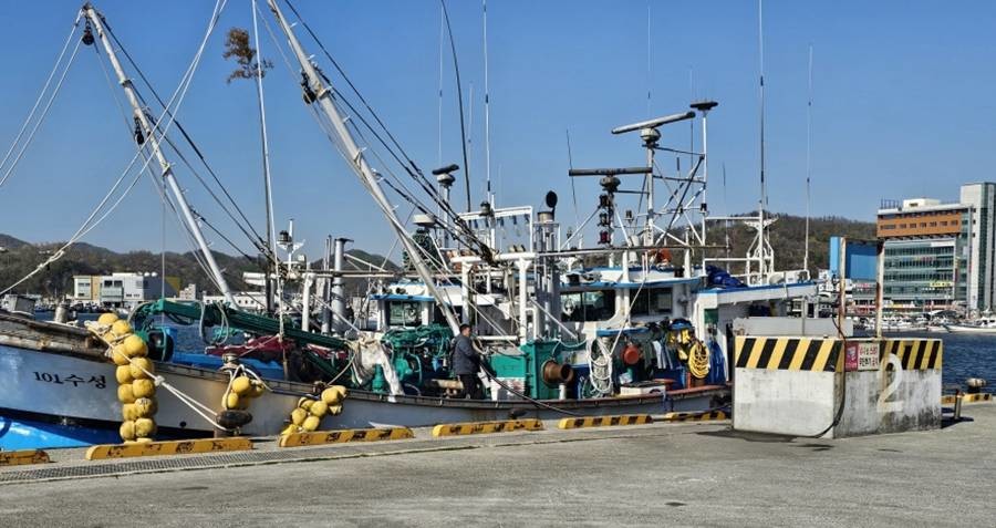 어선 면세유 주입 모습/포항시