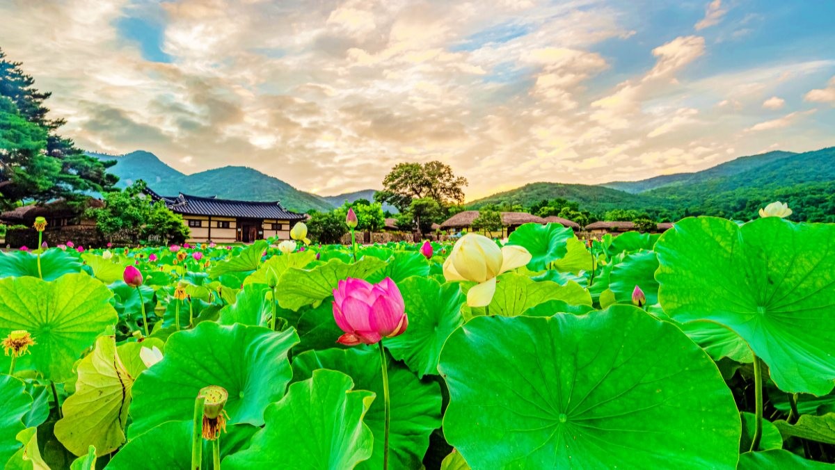 외암민속마을 / sang woon-Shutterstock.com