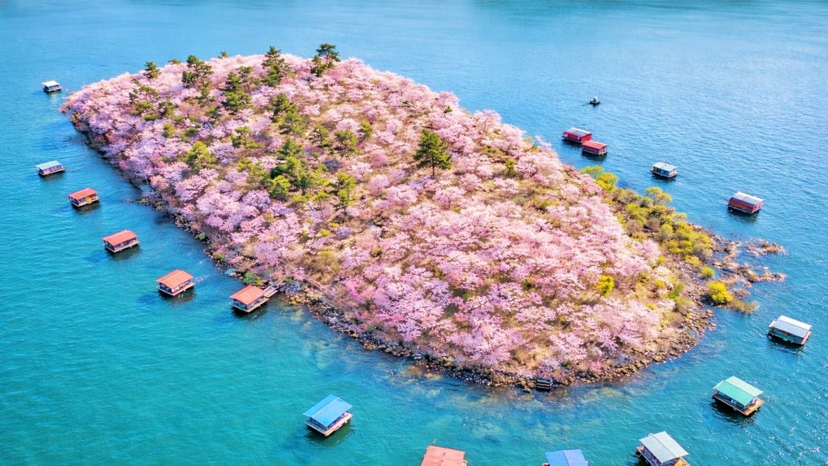 초평호 붕어섬. 기사 이해를 돕기 위해 AI로 제작한 자료 이미지로, 실제 모습과 다소 차이가 있을 수 있습니다.