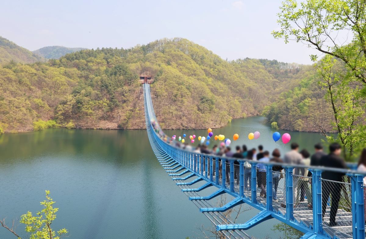 초평호 미르309 출렁다리 / 충청북도 진천군-공공누리