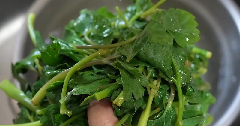 유튜브 '[윤이련]50년 요리비결'