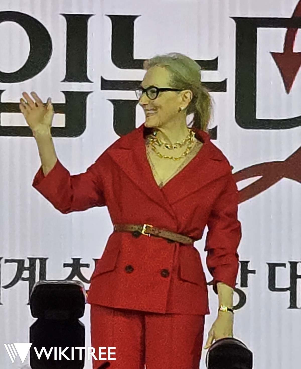 '악마는 프라다를 입는다 2' 기자 간담회에 참석한 메릴 스트립이 포즈를 취하고 있다. / 위키트리