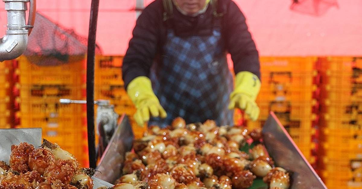 지금 놓치면 1년 기다려야…한국인이 가장 많이 먹는 ‘대반전 해산물’ 