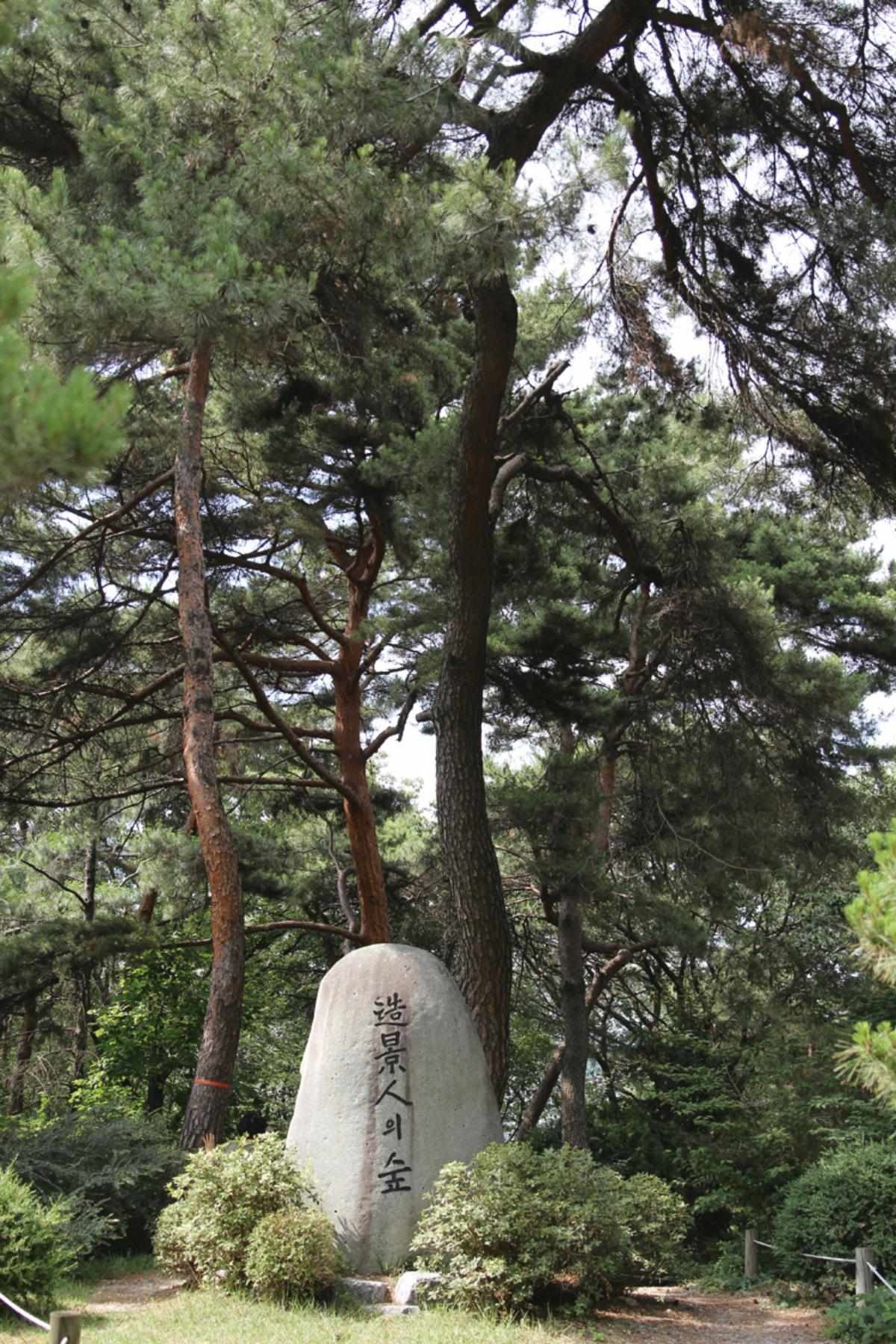 홍릉숲 '조경인의 숲'. / 서울시 제공