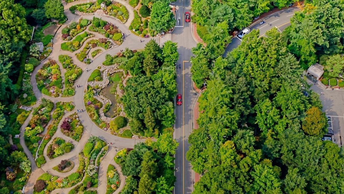 서울 한복판에 자리한 100년 숲, 홍릉숲. 기사 내용 토대로 AI툴 활용해 제작한 자료사진.