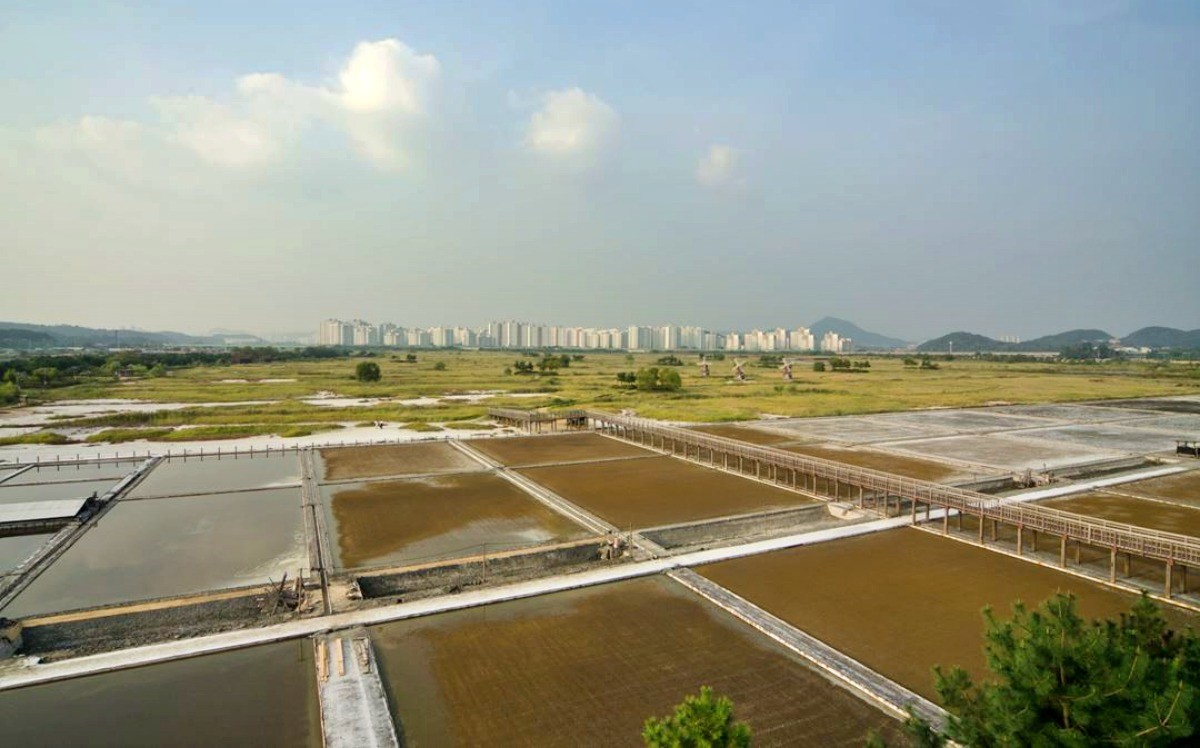 소래습지생태공원 / 인천광역시-공공누리