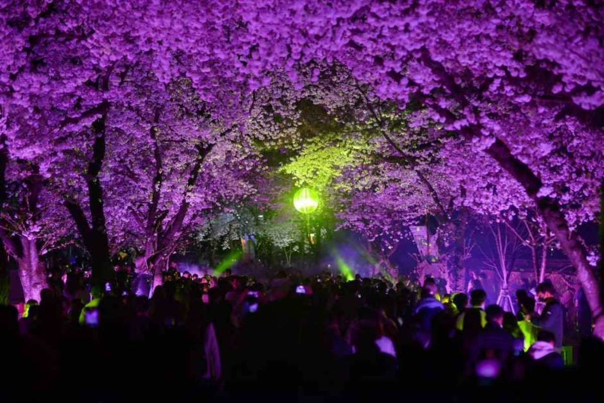 경주 대릉원돌담길 축제 / 한국관광공사 대한민국구석구석 홈페이지